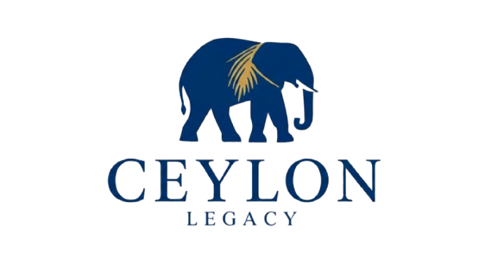 gemini generated image zidbg4zidbg4zidb removebg preview