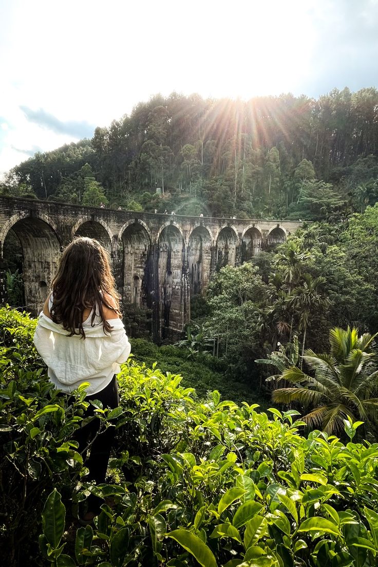 a54f1be63fda87031cc27b28596bae9d